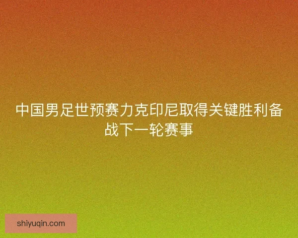中国男足世预赛力克印尼取得关键胜利备战下一轮赛事